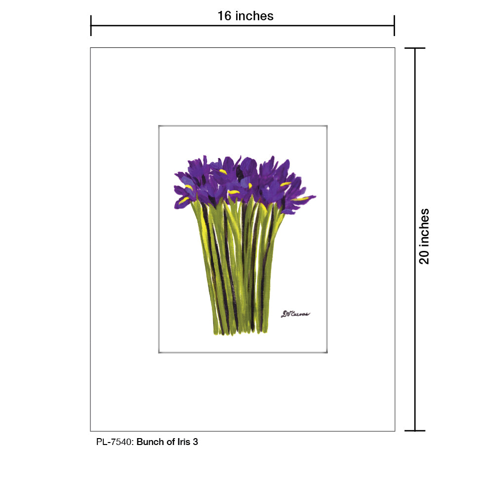Bunch of Iris 3, Print (#7540A), Printe Matted, www.printedcanvas.com