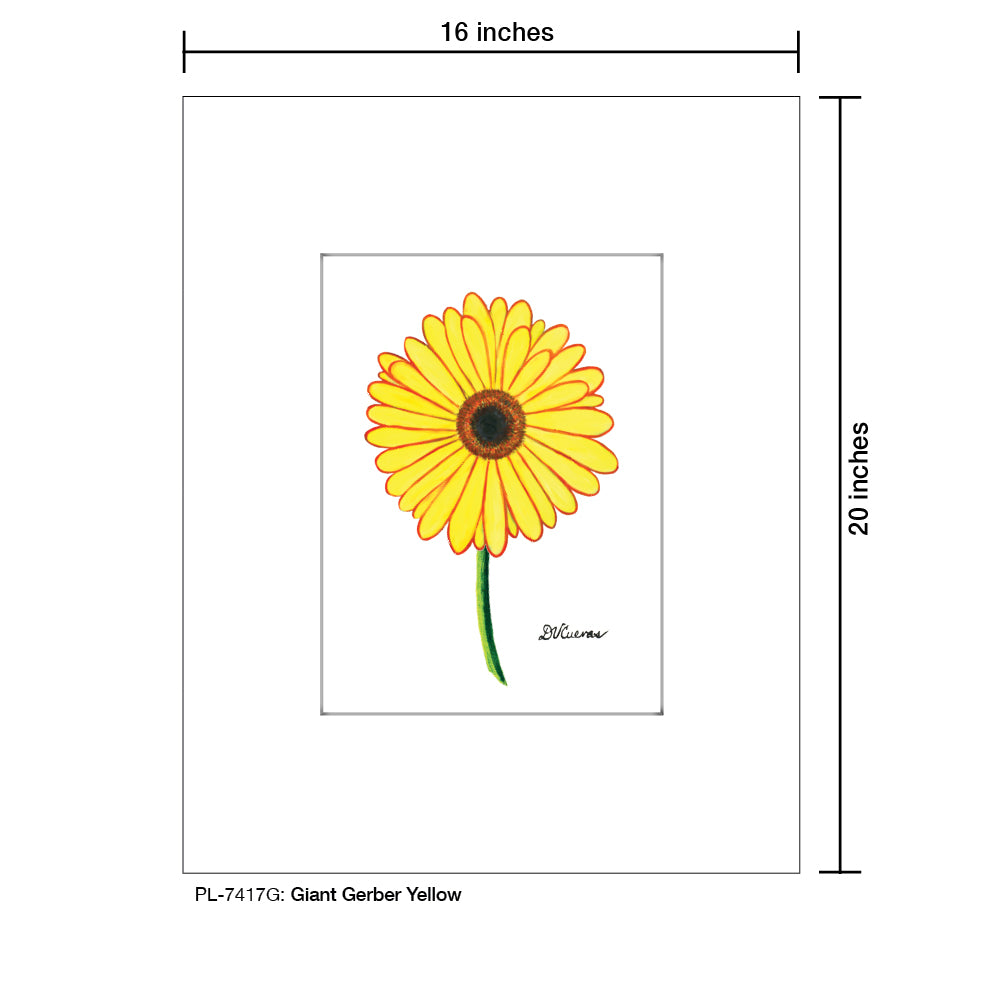 Giant Gerber Bright, Print (#7415G) - Printed Canvas