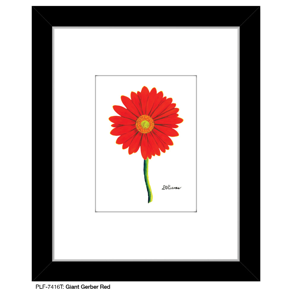 Giant Gerber Red, Print (#7416T) - Printed Canvas