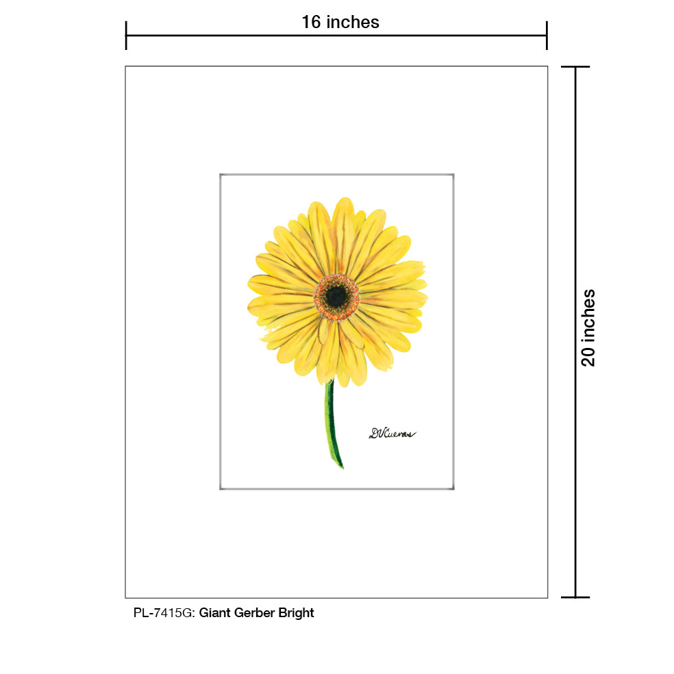 Giant Gerber Yellow, Print (#7417G) - Printed Canvas