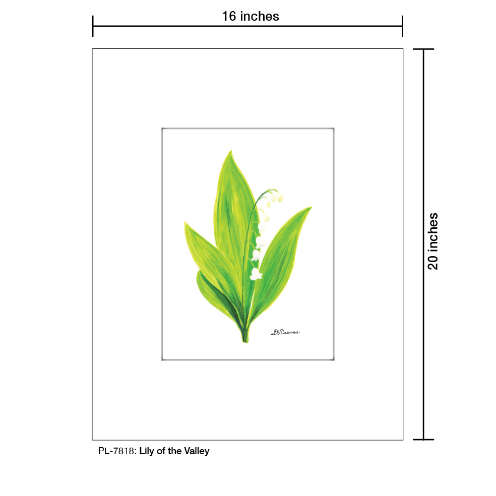 Lily of the Valley, Print (#7818C), Printe Matted, www.printedcanvas.com
