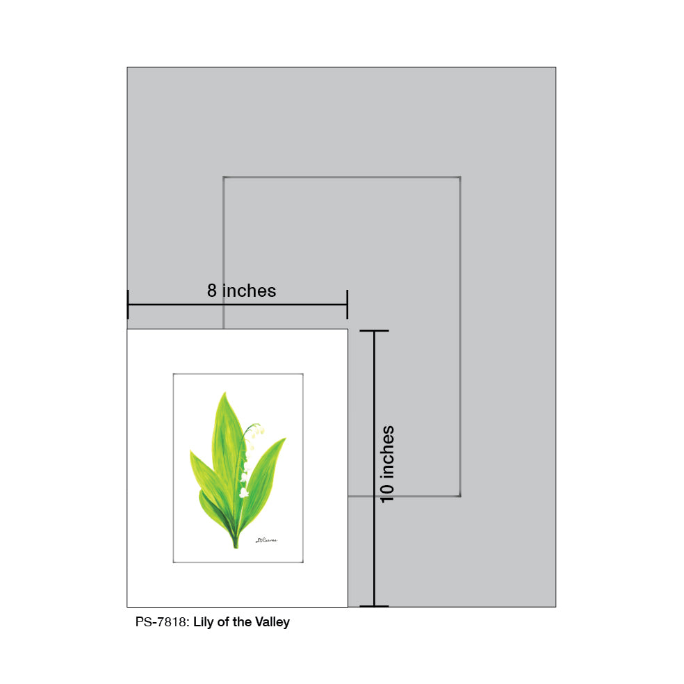 Lily of the Valley, Print (#7818C), Print Matted, www.printedcanvas.com