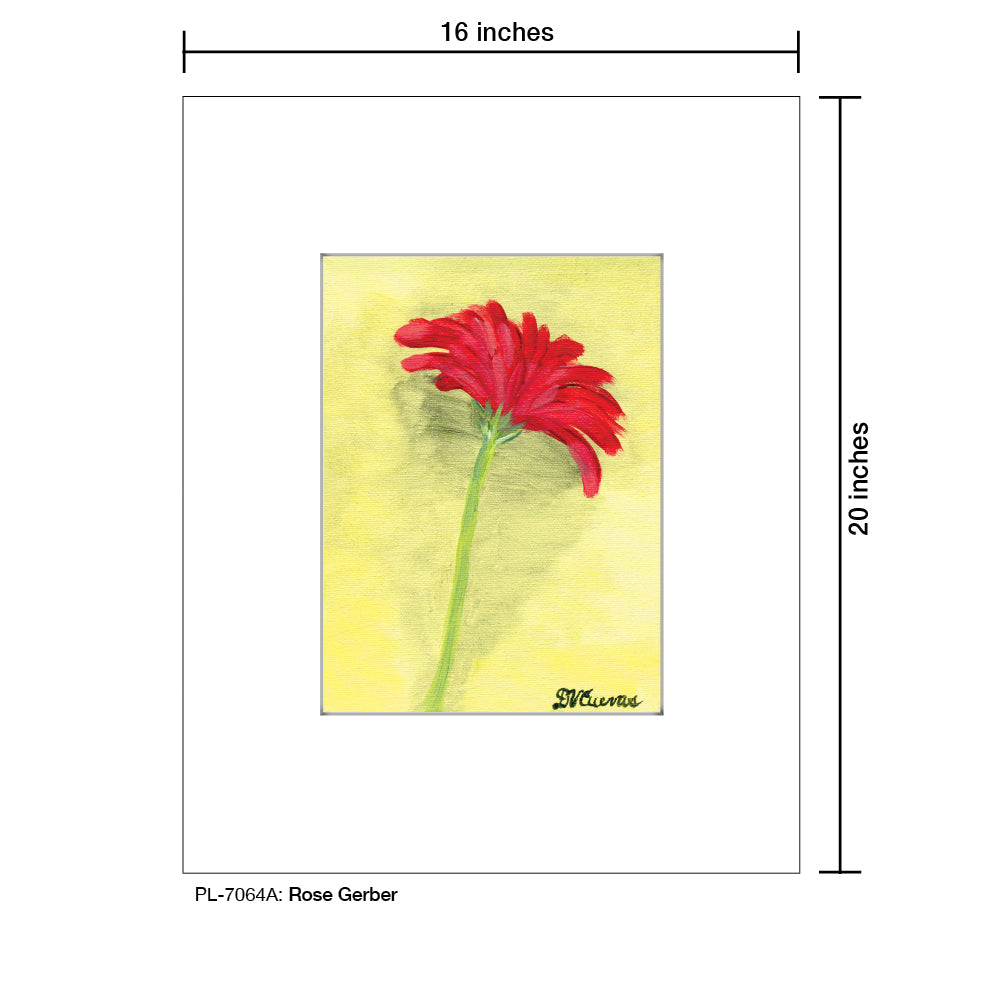 Rose Gerber, Print (#7064A), Printe Matted, www.printedcanvas.com