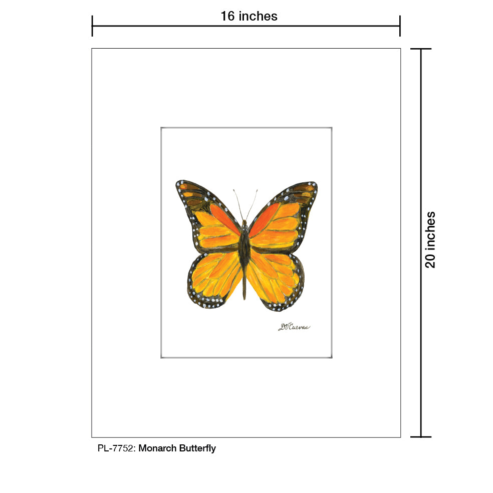 Monarch Butterfly, Print (#7752B), Printe Matted, www.printedcanvas.com