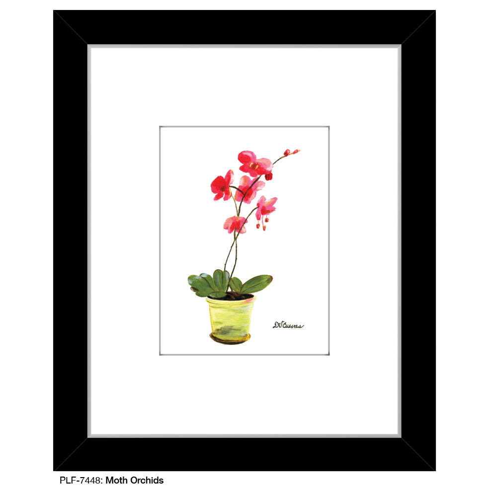 Moth Orchids, Print (#7448) - Printed Canvas