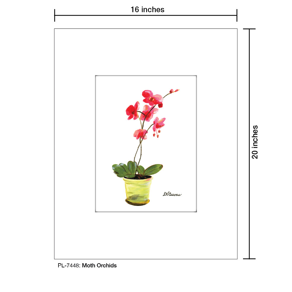 Moth Orchids, Print (#7448) - Printed Canvas