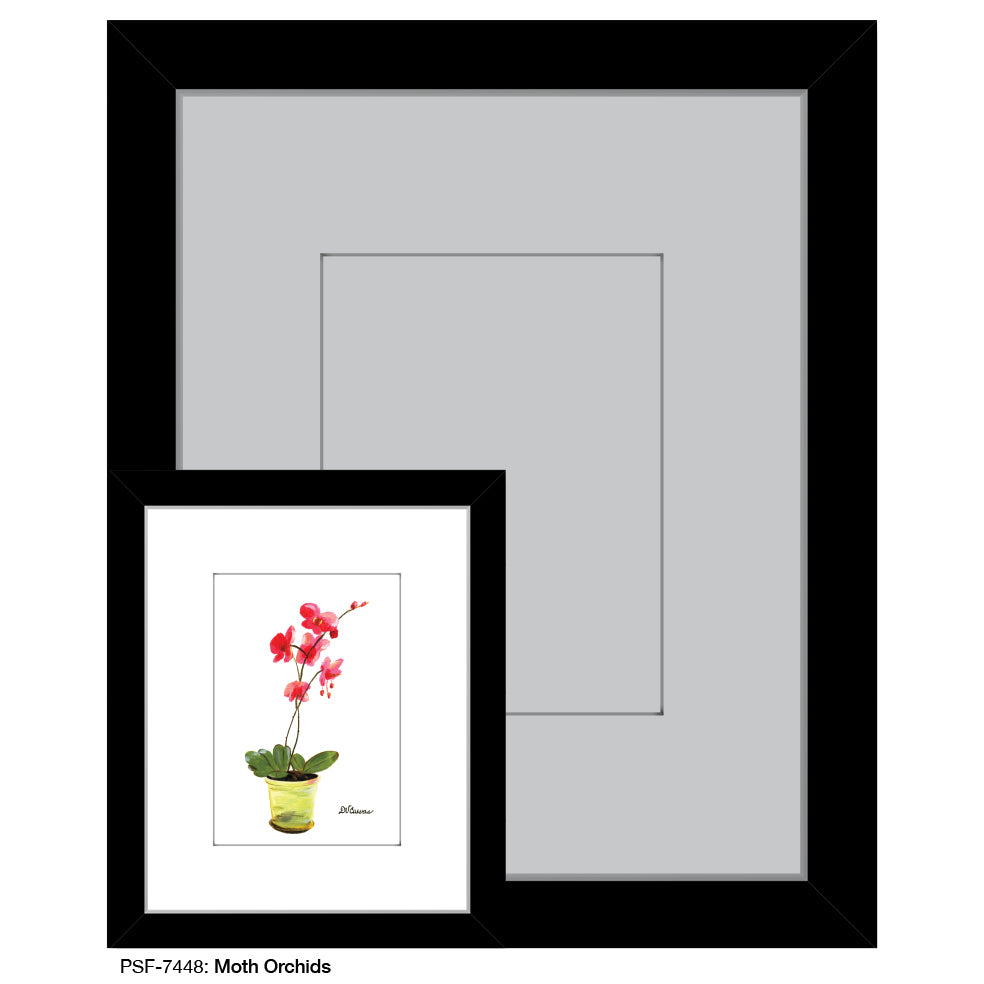 Moth Orchids, Print (#7448) - Printed Canvas