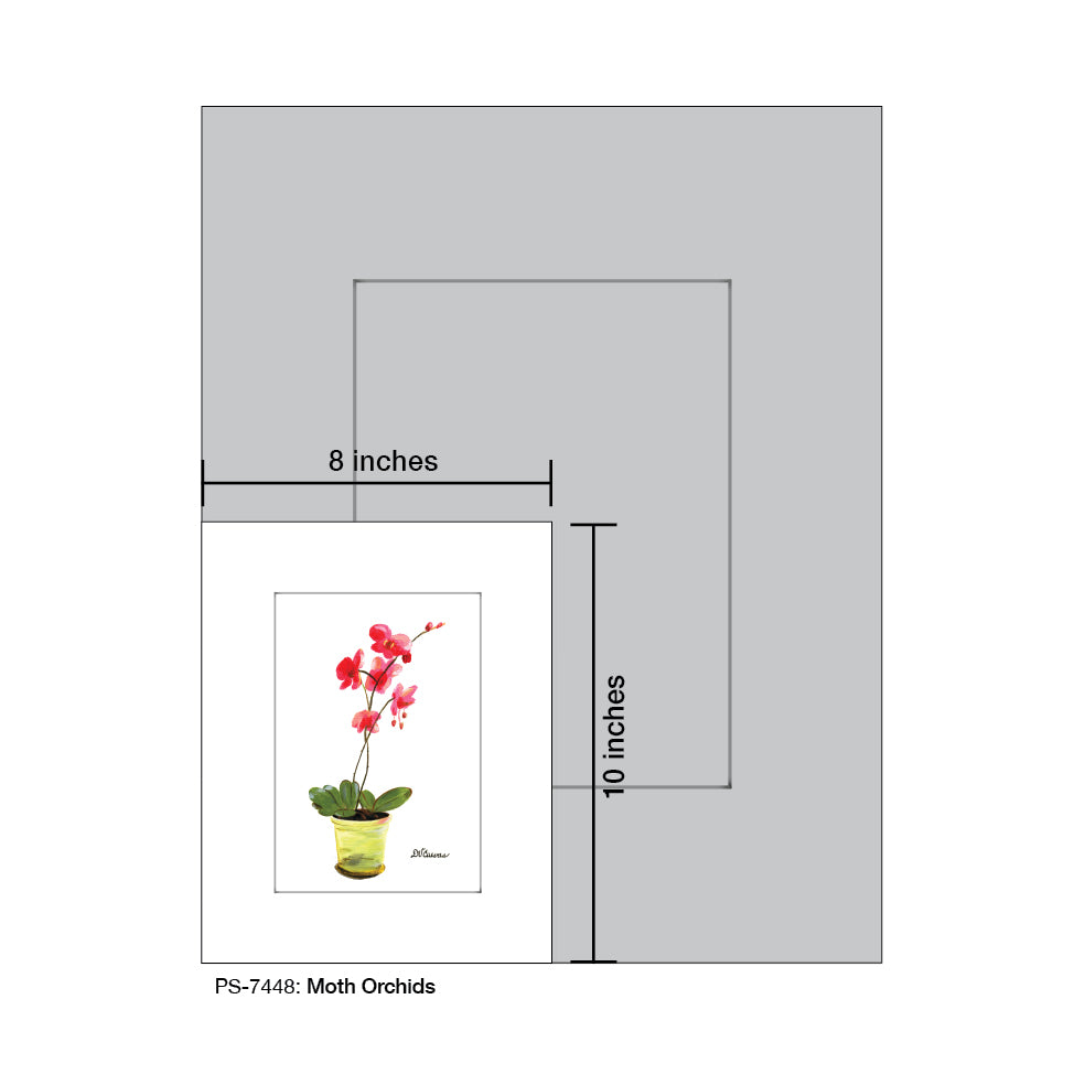 Moth Orchids, Print (#7448) - Printed Canvas