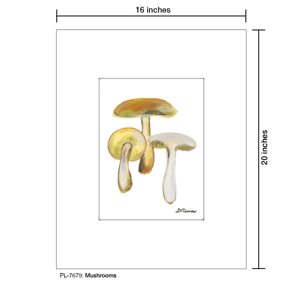 Mushrooms, Print (#7679A), Printe Matted, www.printedcanvas.com