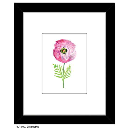 Natasha Anemone, Print (#8097E), Print Matted, www.printedcanvas.com