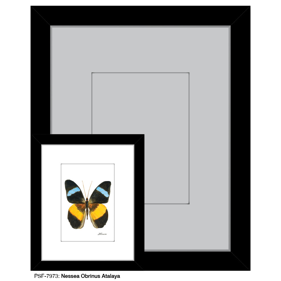 Nessea Obrinus Atalaya, Print (#7973B), Print Matted, www.printedcanvas.com