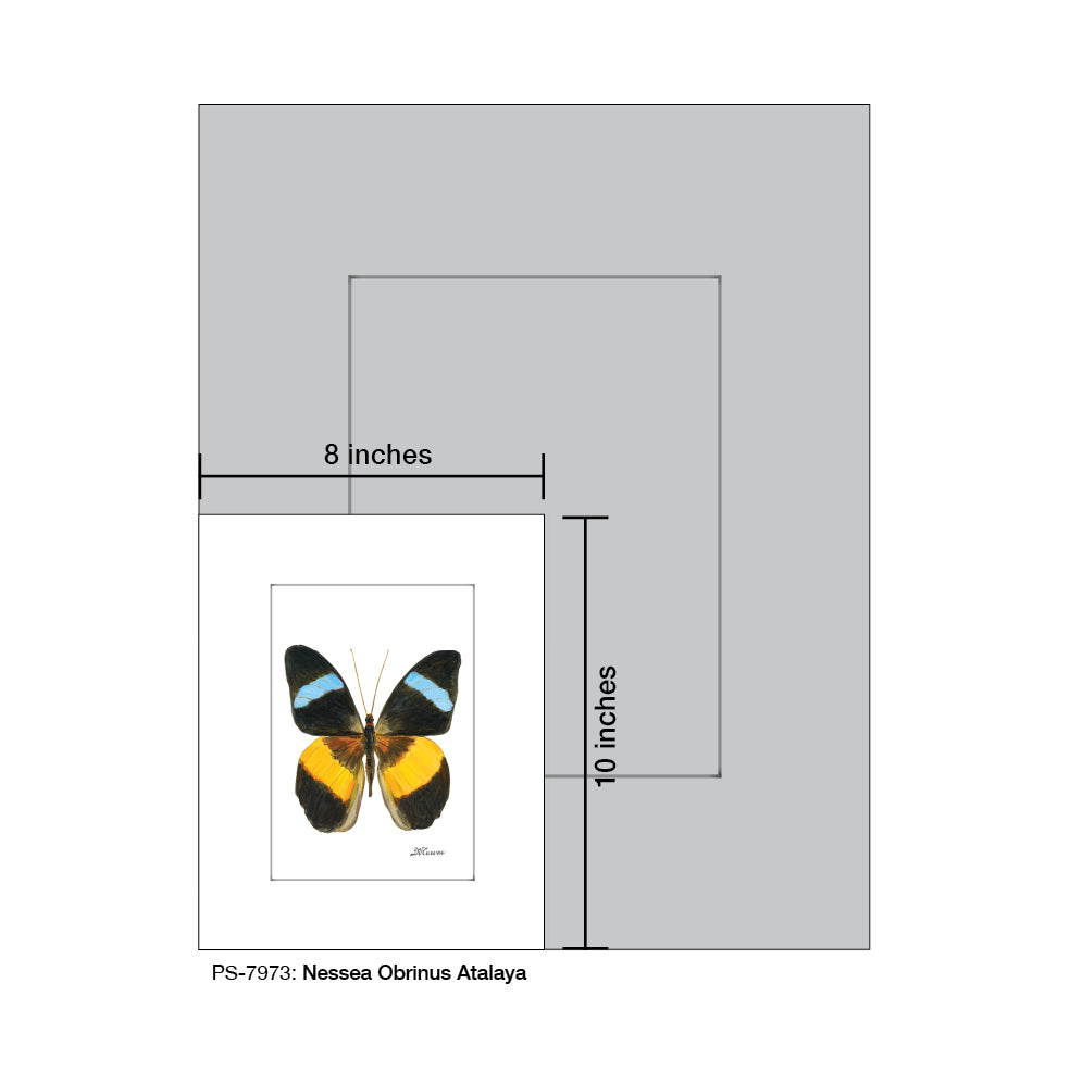 Nessea Obrinus Atalaya, Print (#7973B), Print Matted, www.printedcanvas.com