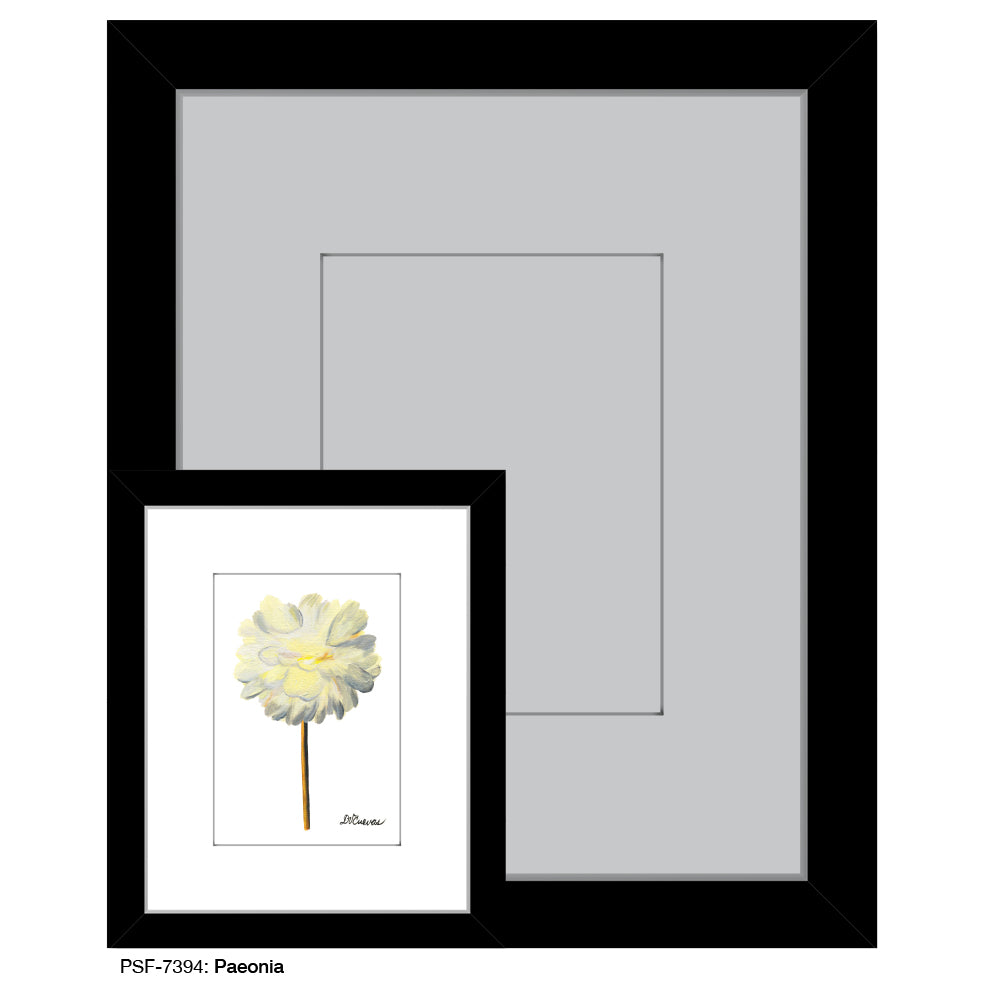 Paeonia, Print (#7394) - Printed Canvas