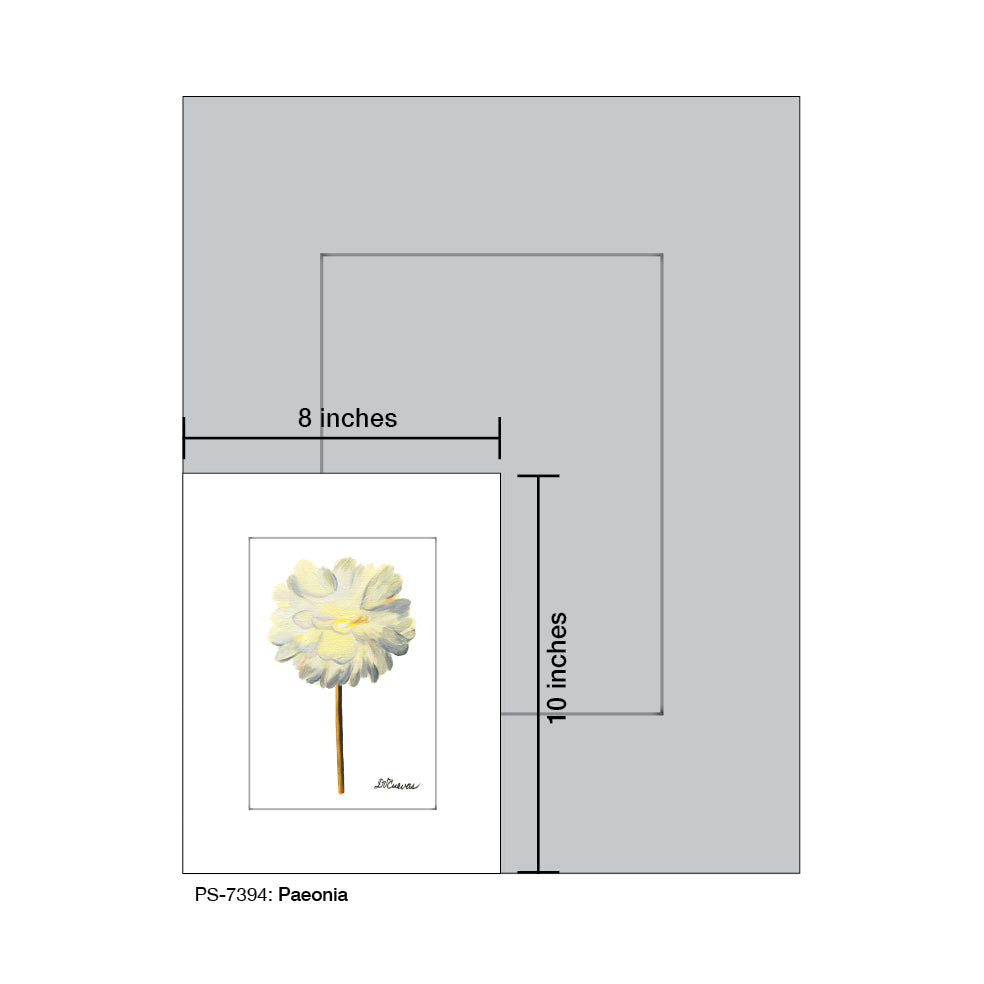 Paeonia, Print (#7394) - Printed Canvas