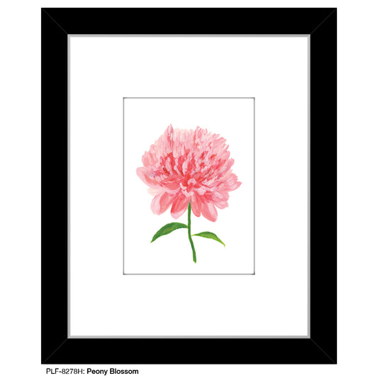 Peony Blossom, Print (#8278H), Print Matted, www.printedcanvas.com