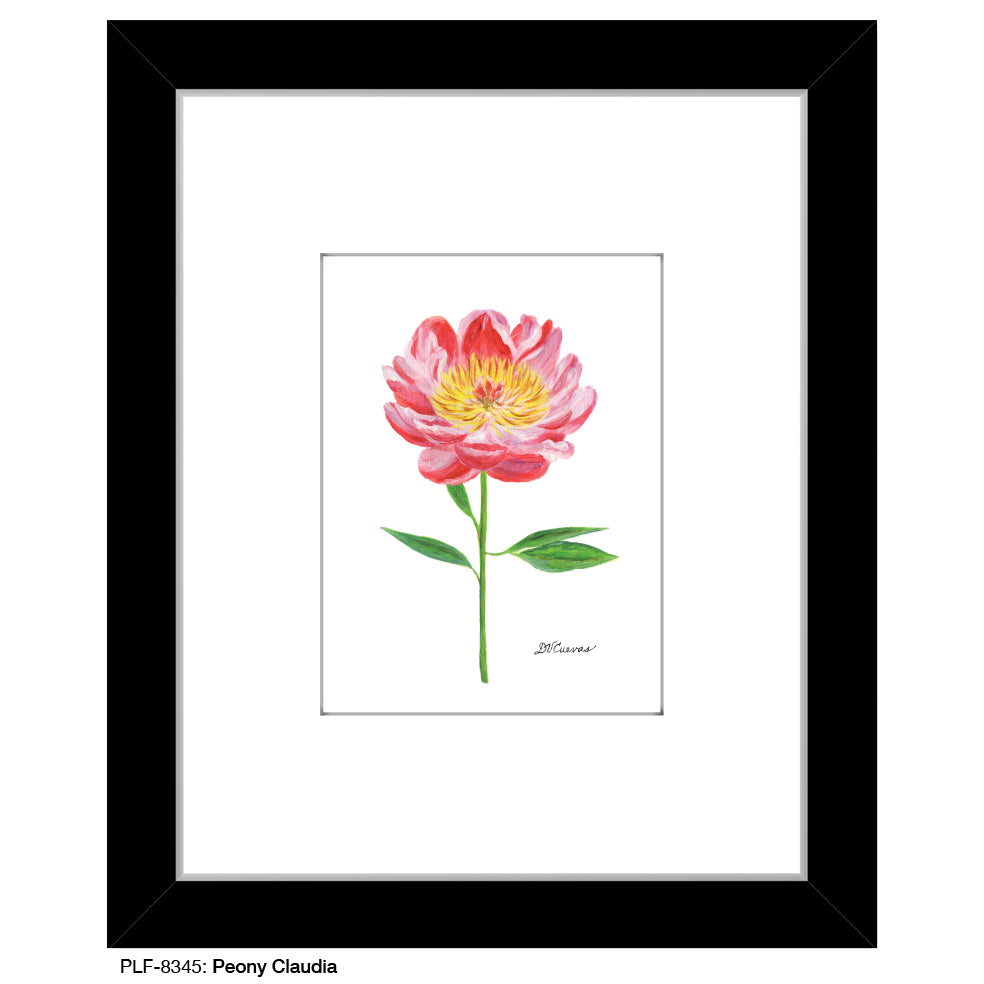 Peony Claudia, Print (#8345A), Print Matted, www.printedcanvas.com
