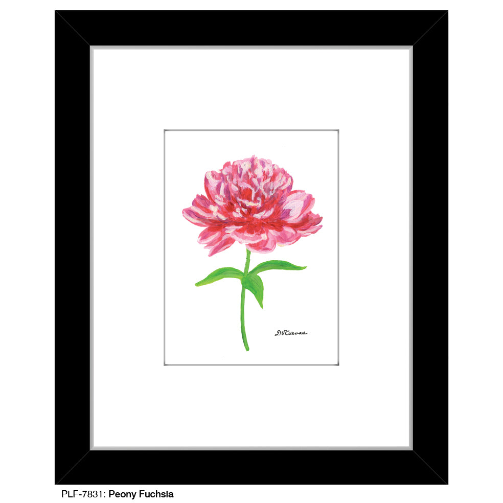 Peony Fuchsia, Print (#7831A), Print Matted, www.printedcanvas.com