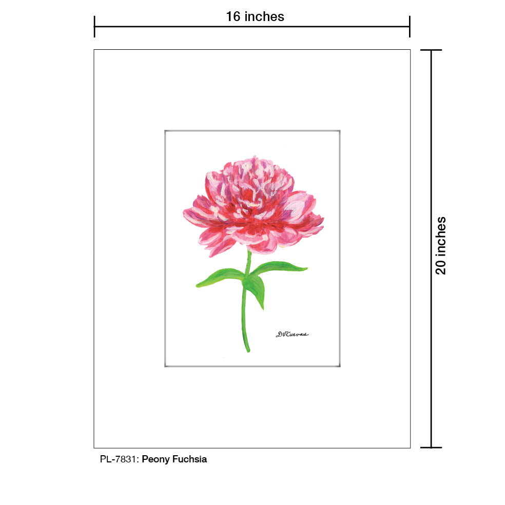 Peony Fuchsia, Print (#7831A), Printe Matted, www.printedcanvas.com