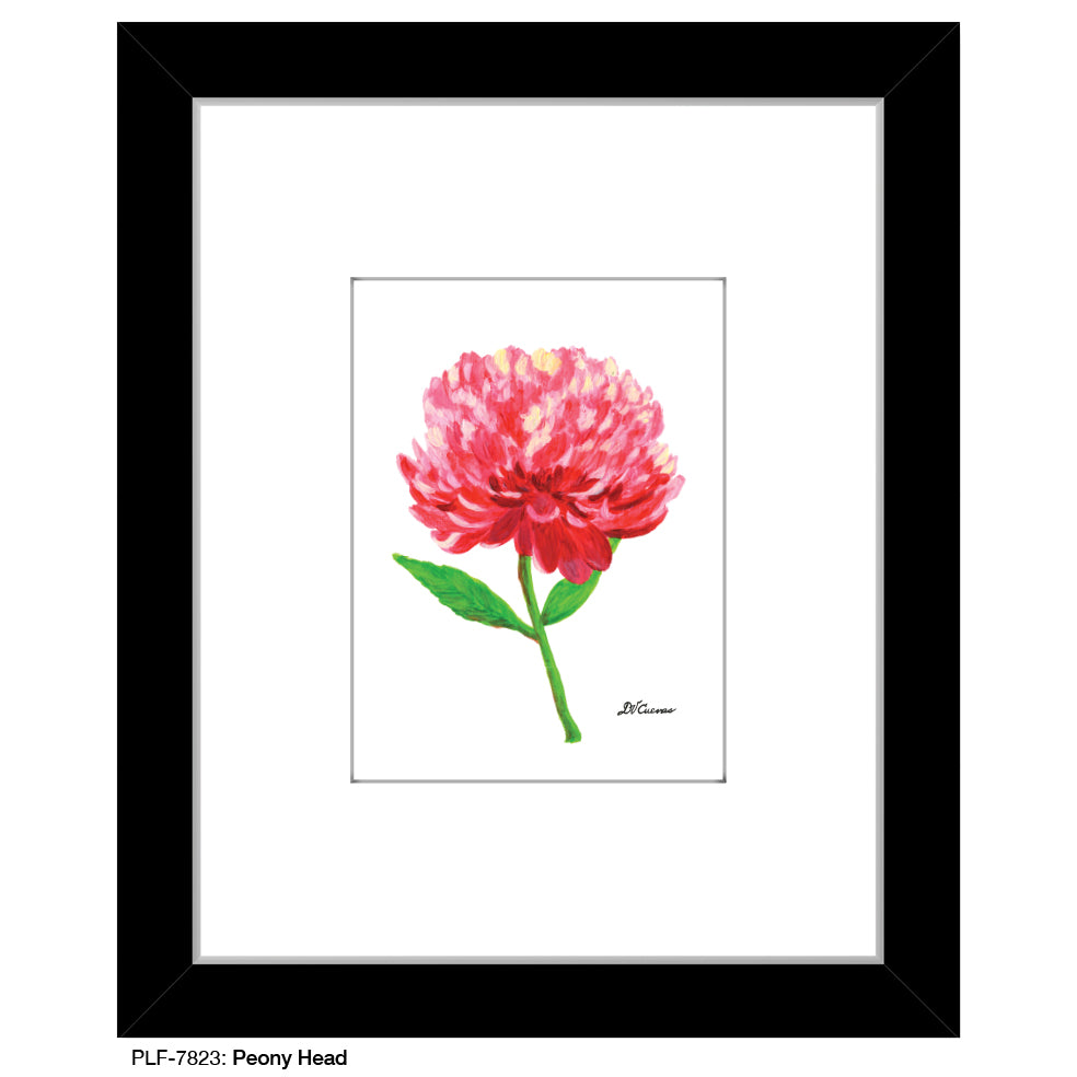 Peony Head, Print (#7823A), Print Matted, www.printedcanvas.com