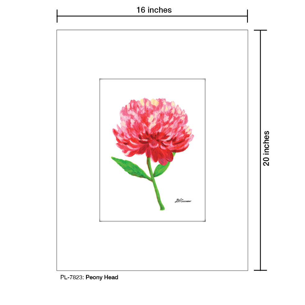 Peony Head, Print (#7823A), Printe Matted, www.printedcanvas.com
