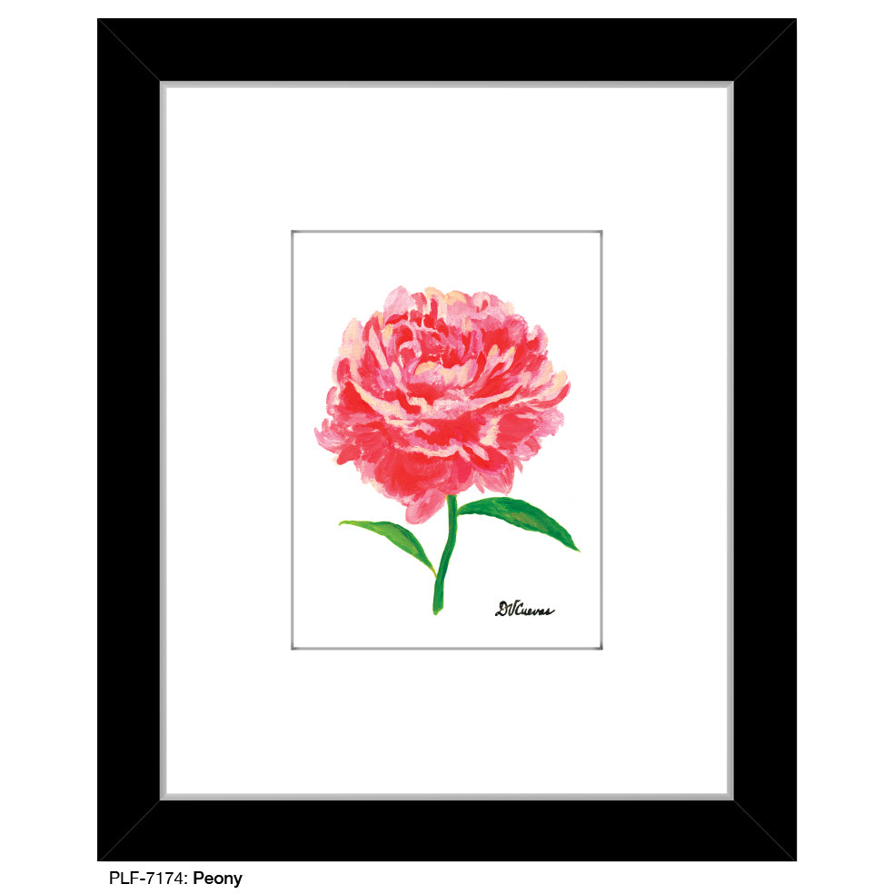 Peony, Print (#7174E), Print Matted, www.printedcanvas.com