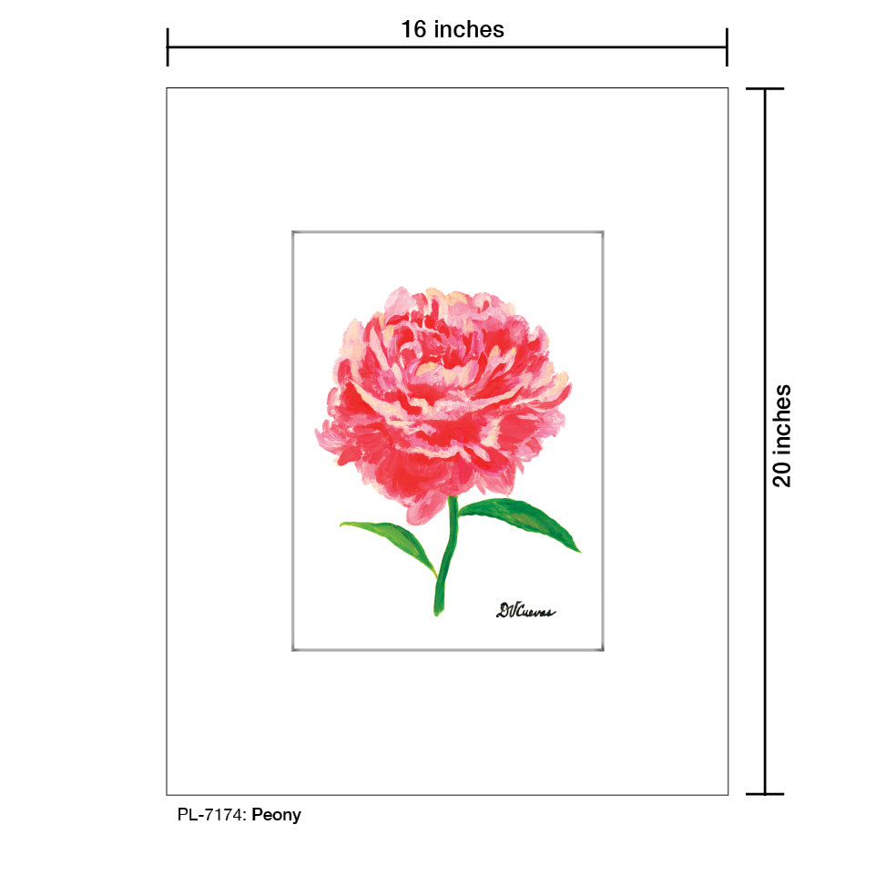 Peony, Print (#7174E), Printe Matted, www.printedcanvas.com