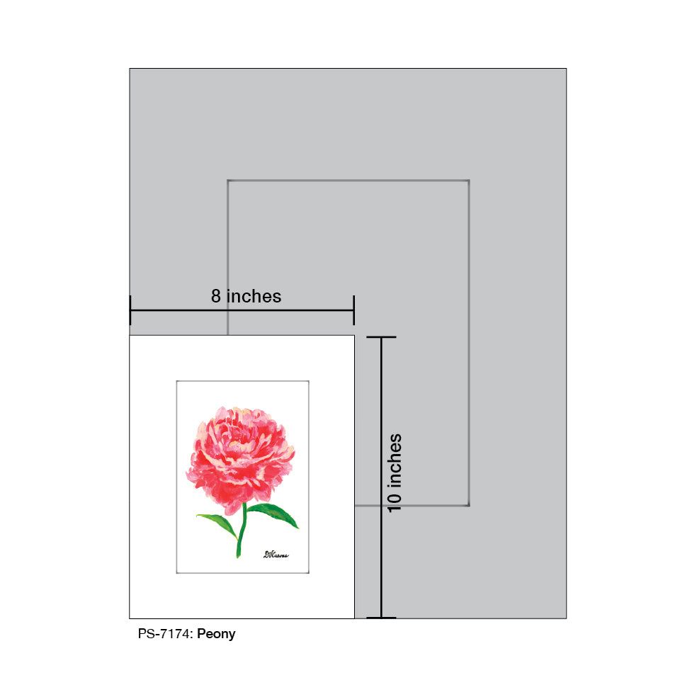 Peony, Print (#7174E), Print Matted, www.printedcanvas.com