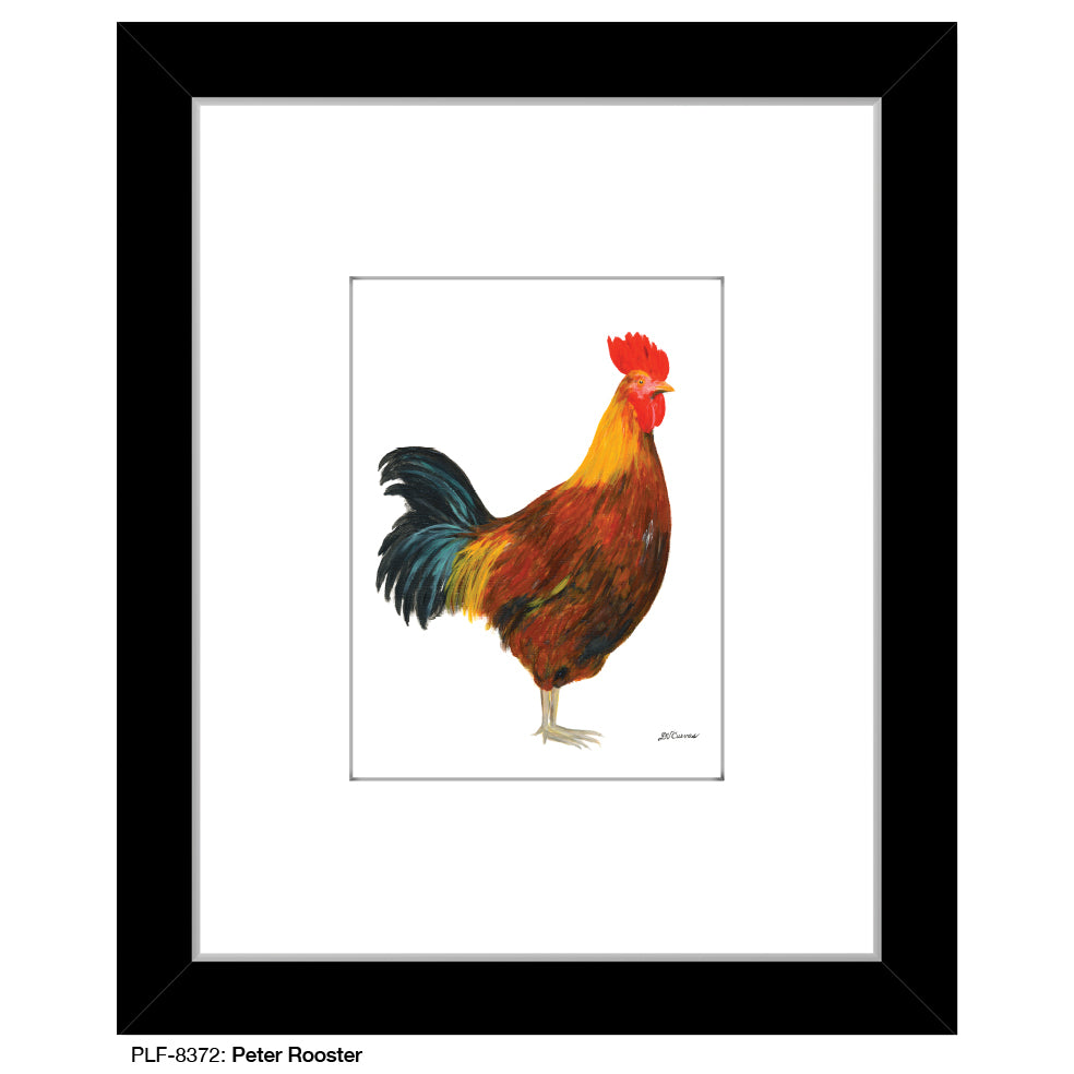 Peter Rooster, Print (#8372C), Print Matted, www.printedcanvas.com