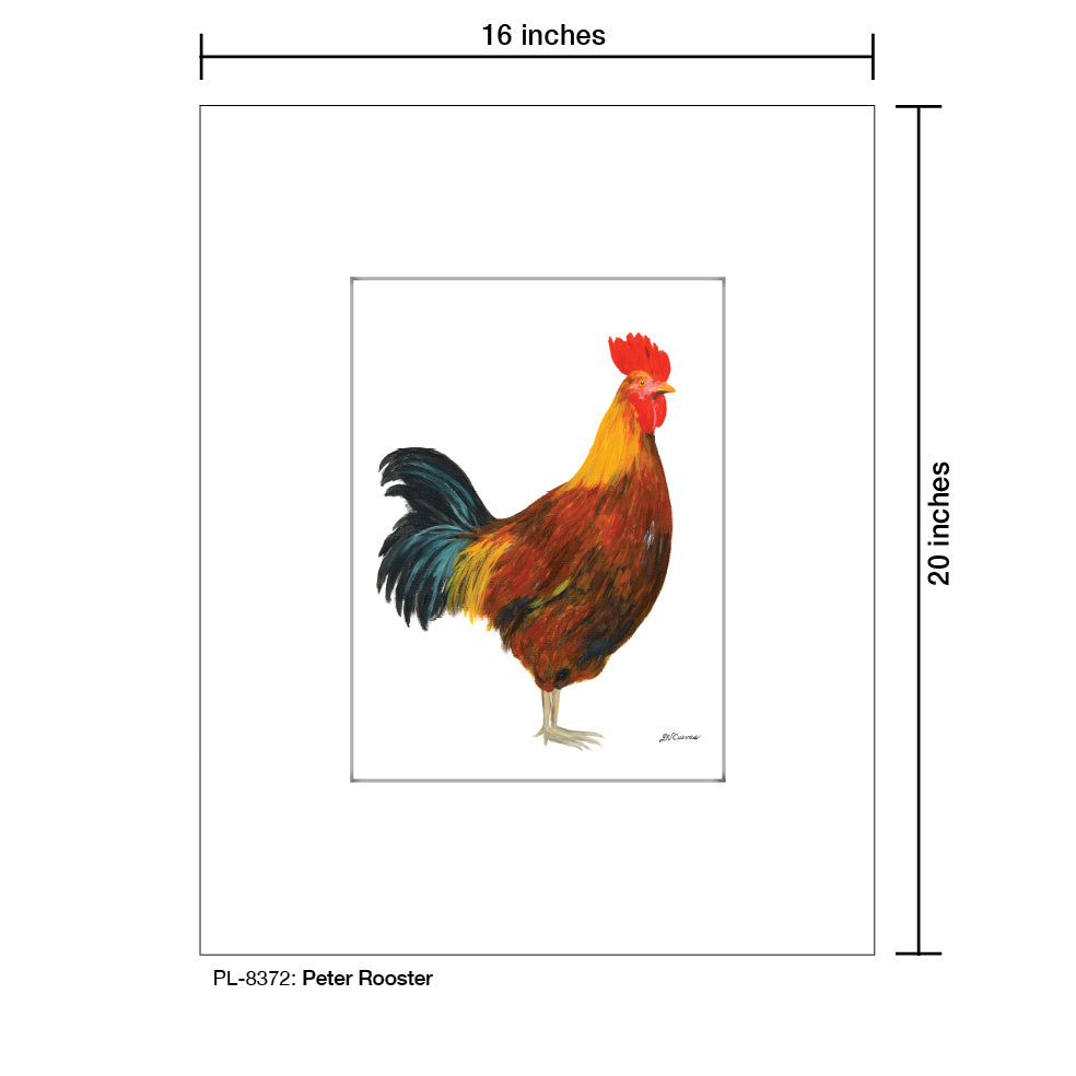 Peter Rooster, Print (#8372C), Printe Matted, www.printedcanvas.com