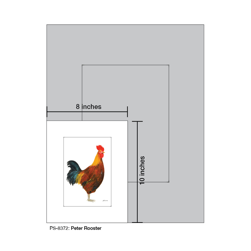 Peter Rooster, Print (#8372C), Print Matted, www.printedcanvas.com
