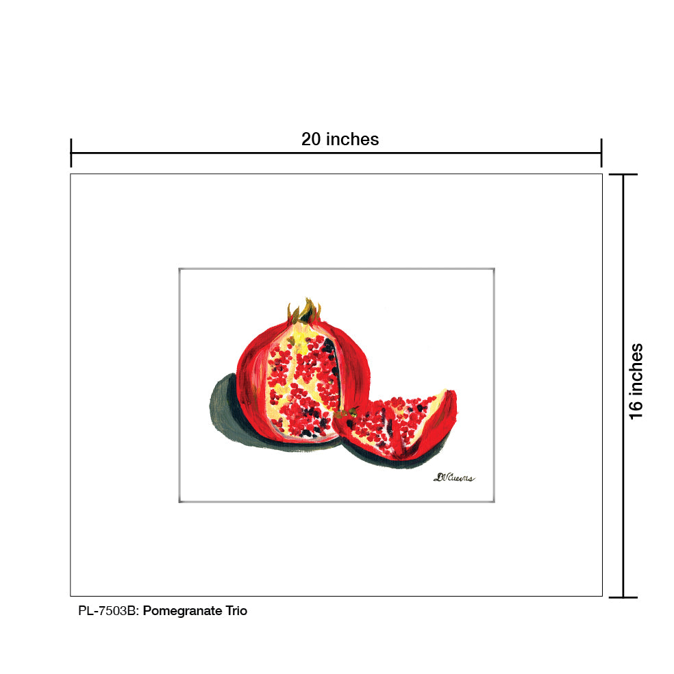 Pomegranate Trio B, Print (#7503B) - Printed Canvas