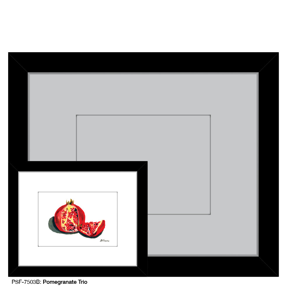 Pomegranate Trio B, Print (#7503B) - Printed Canvas