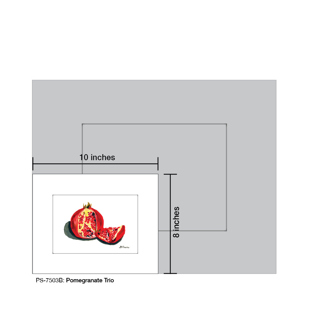 Pomegranate Trio B, Print (#7503B) - Printed Canvas