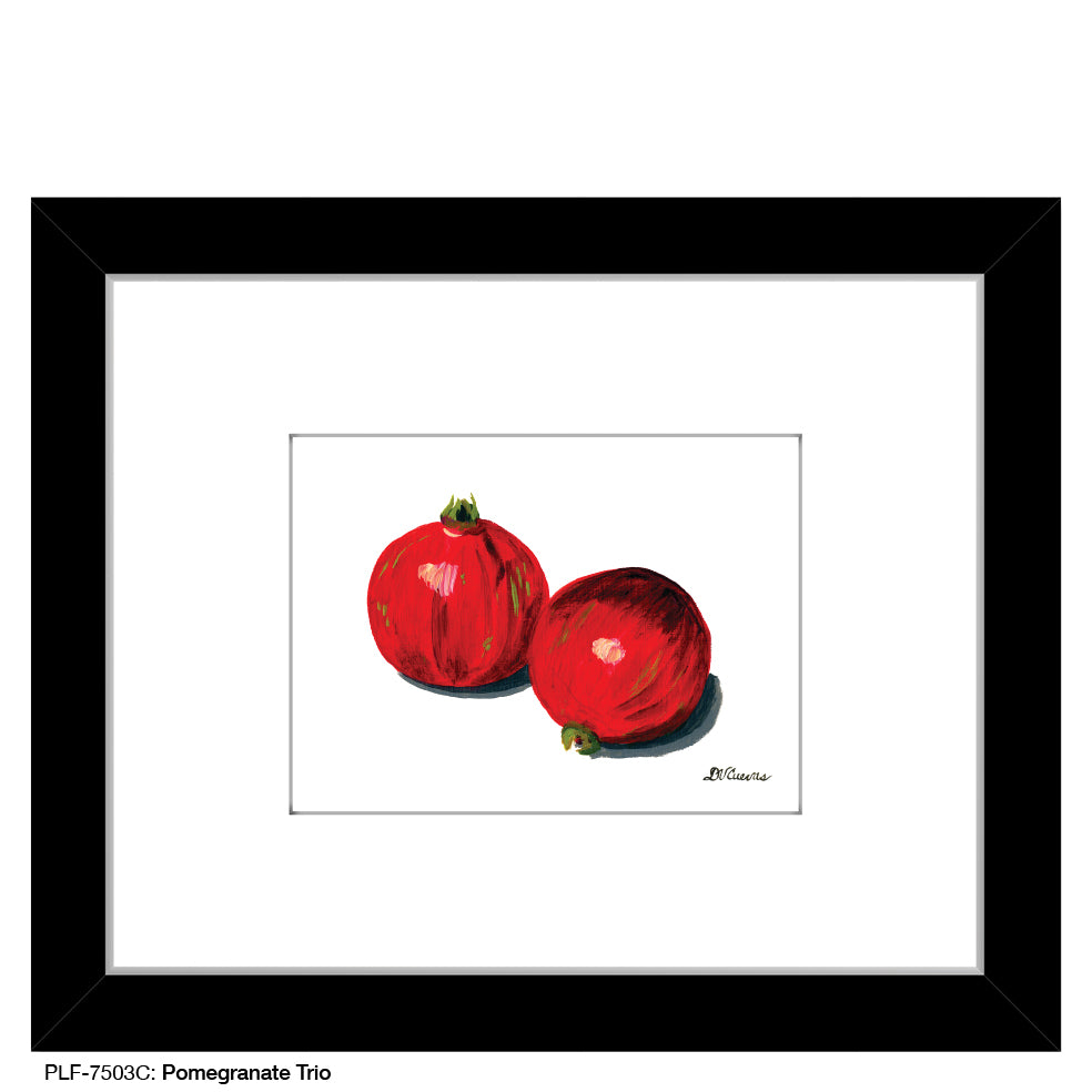 Pomegranate Trio 1, Print (#7503C), Print Matted, www.printedcanvas.com