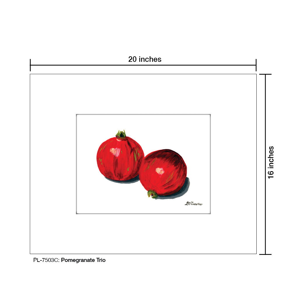 Pomegranate Trio 1, Print (#7503C), Printe Matted, www.printedcanvas.com