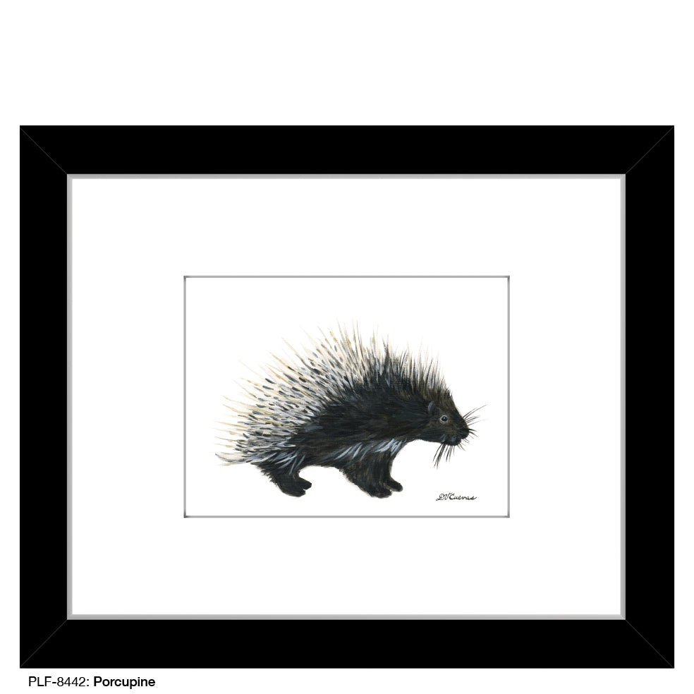 Porcupine, Print (#8442B), Print Matted, www.printedcanvas.com