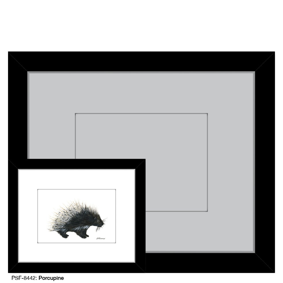 Porcupine, Print (#8442B), Print Matted, www.printedcanvas.com