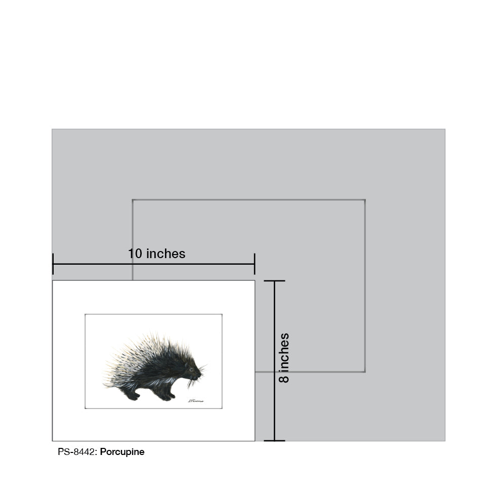 Porcupine, Print (#8442B), Print Matted, www.printedcanvas.com