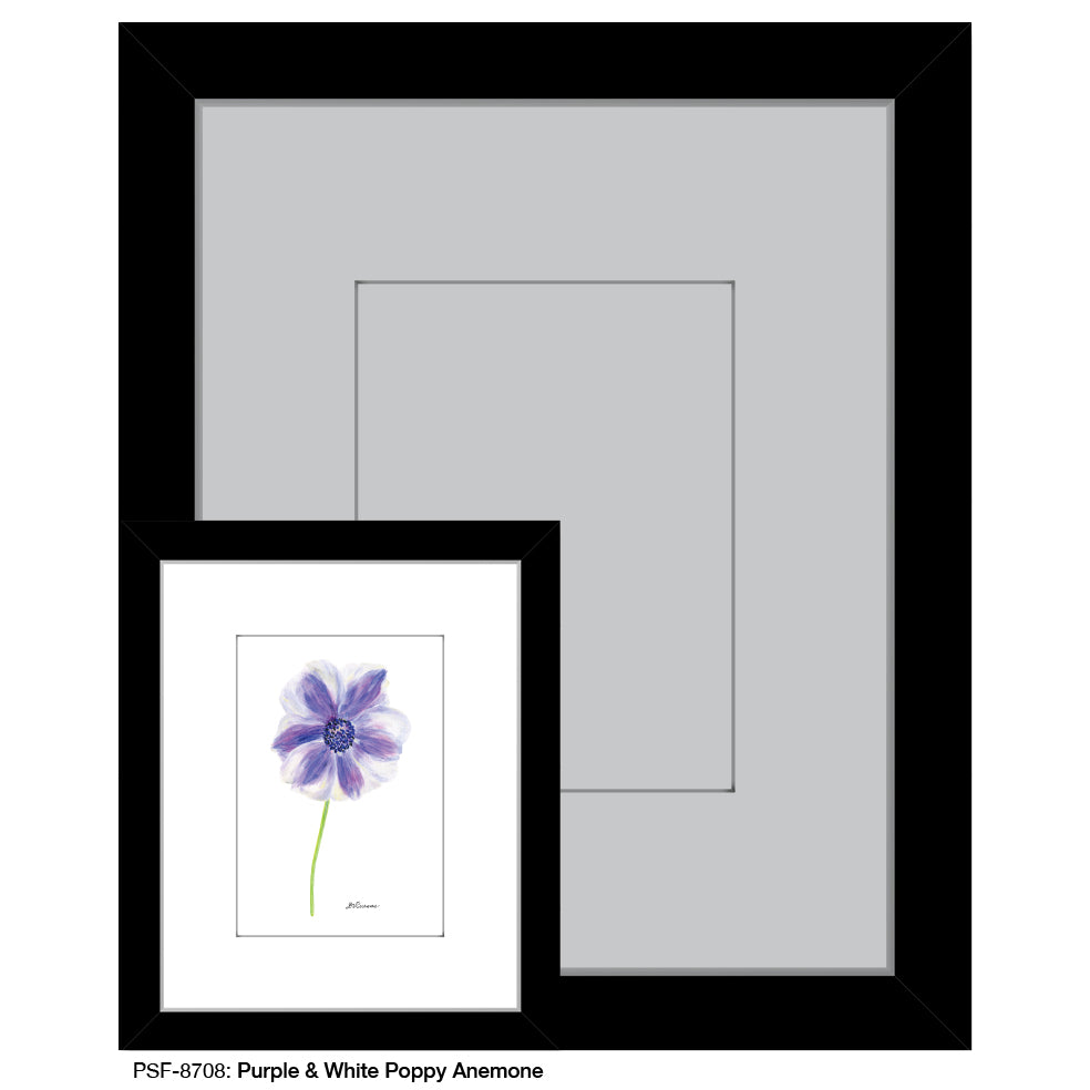 Purple & White Poppy Anemone, Print (#8708D), Print Matted, www.printedcanvas.com