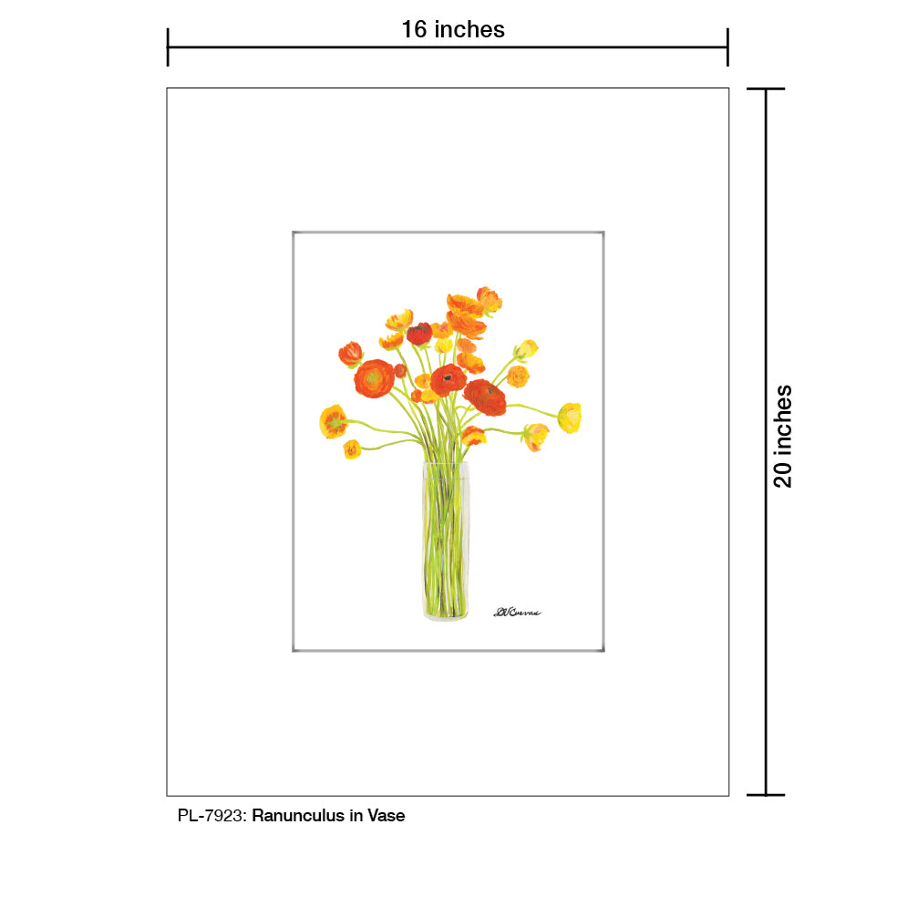 Ranunculus in Vase, Print (#7923) - Printed Canvas