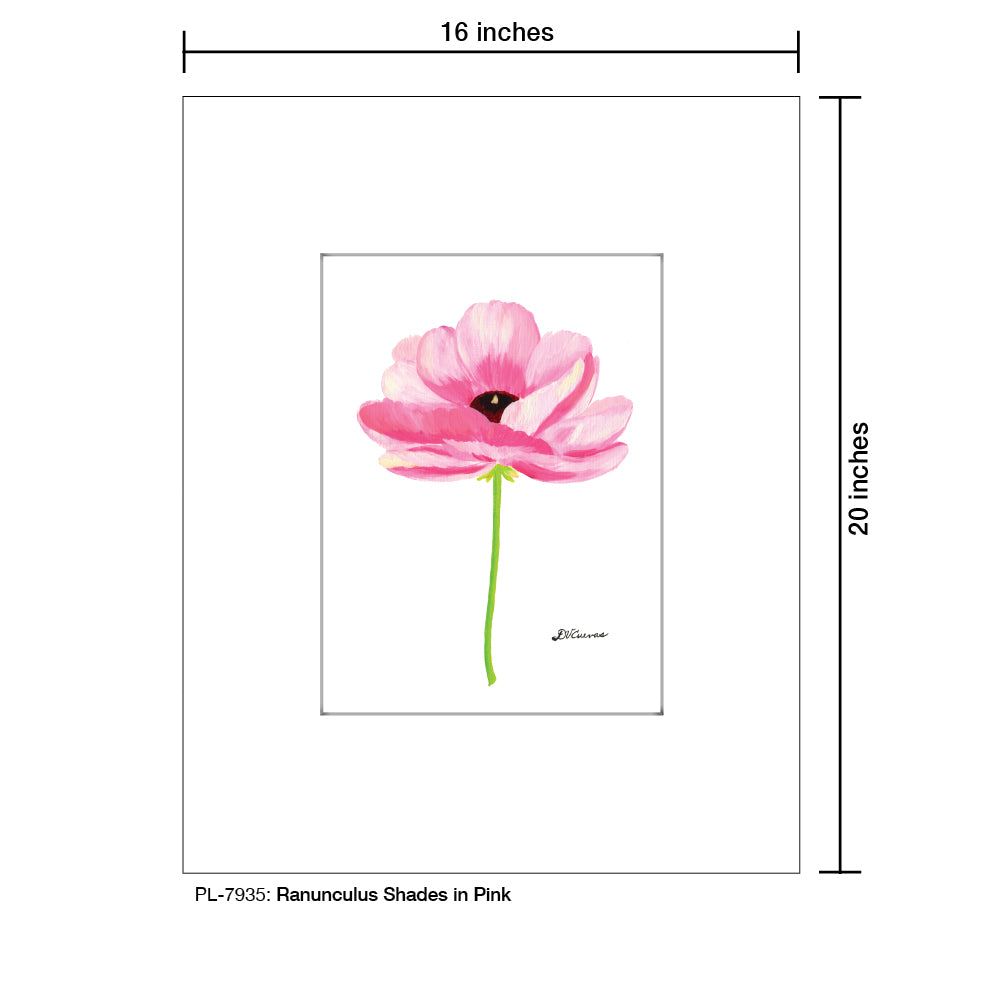 Ranunculus Shades in Pink, Print (#7935B), Printe Matted, www.printedcanvas.com