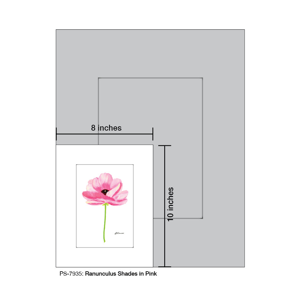 Ranunculus Shades in Pink, Print (#7935B), Print Matted, www.printedcanvas.com