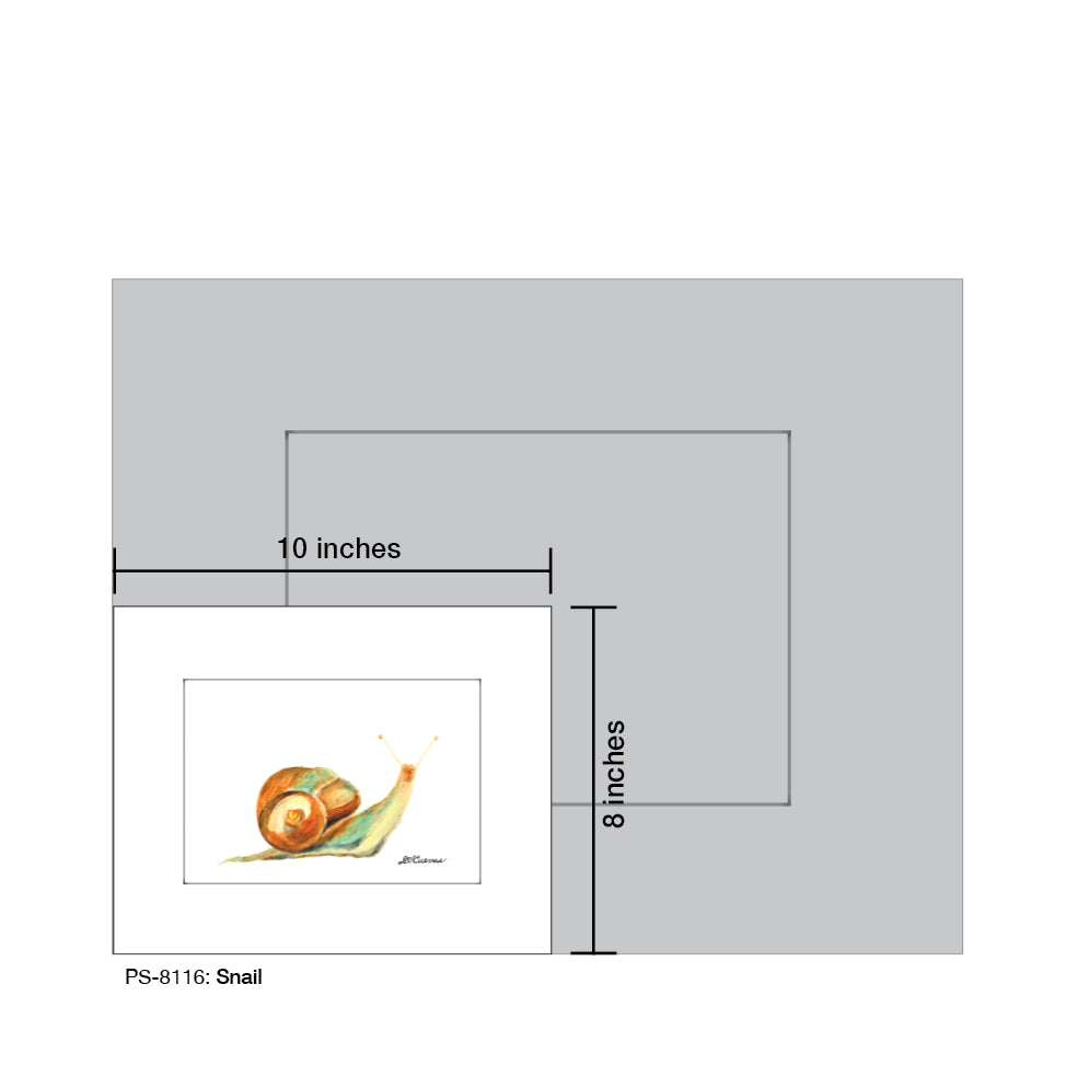 Snail, Print (#8116B), Print Matted, www.printedcanvas.com