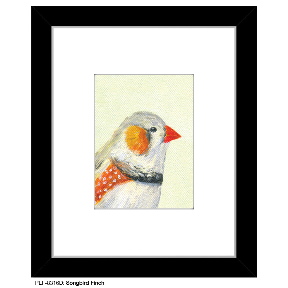Songbird Finch, Print (#8316D), Print Matted, www.printedcanvas.com
