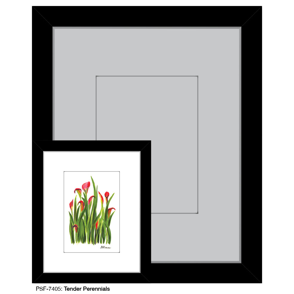 Tender Perennials, Print (#7405A), Print Matted, www.printedcanvas.com