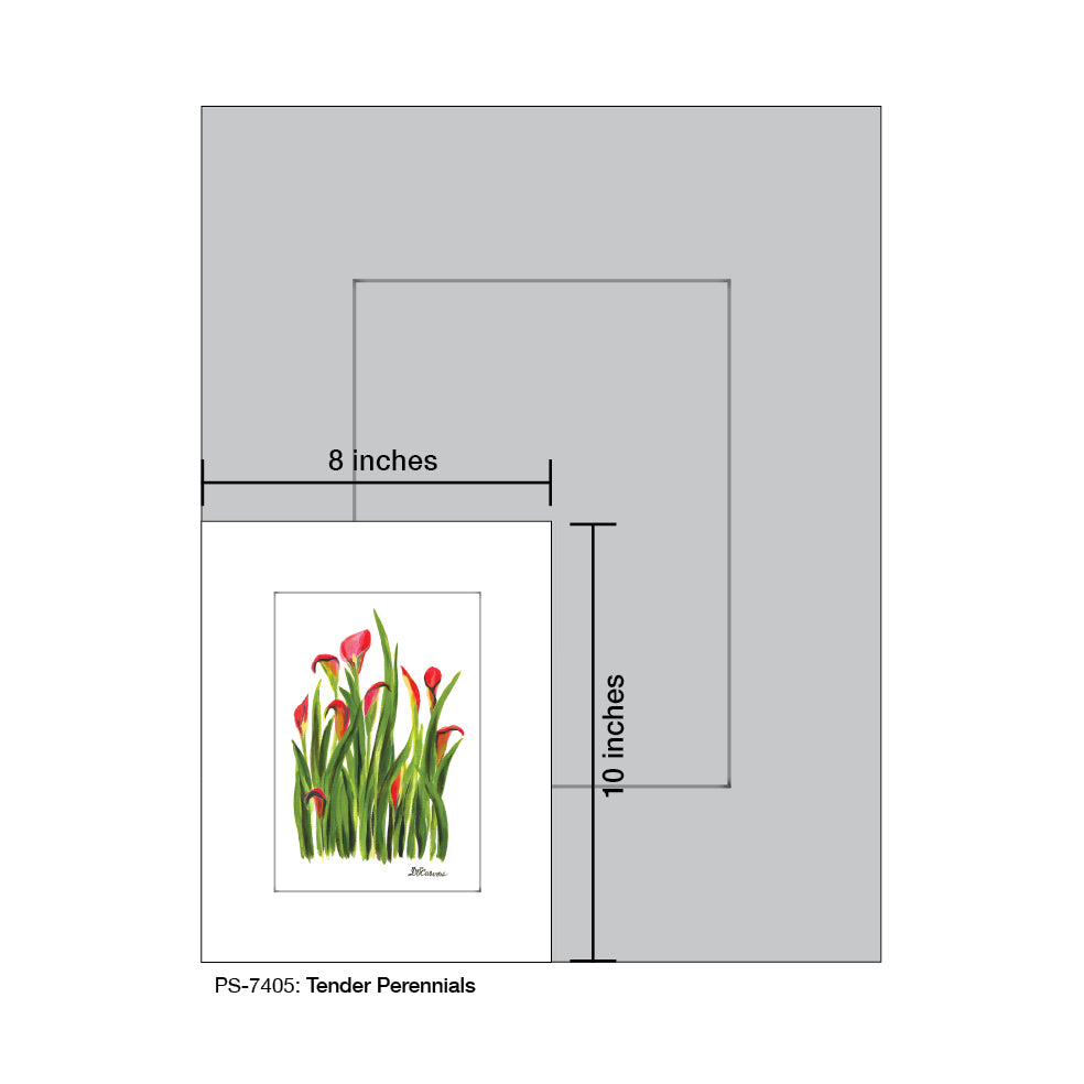 Tender Perennials, Print (#7405A), Print Matted, www.printedcanvas.com