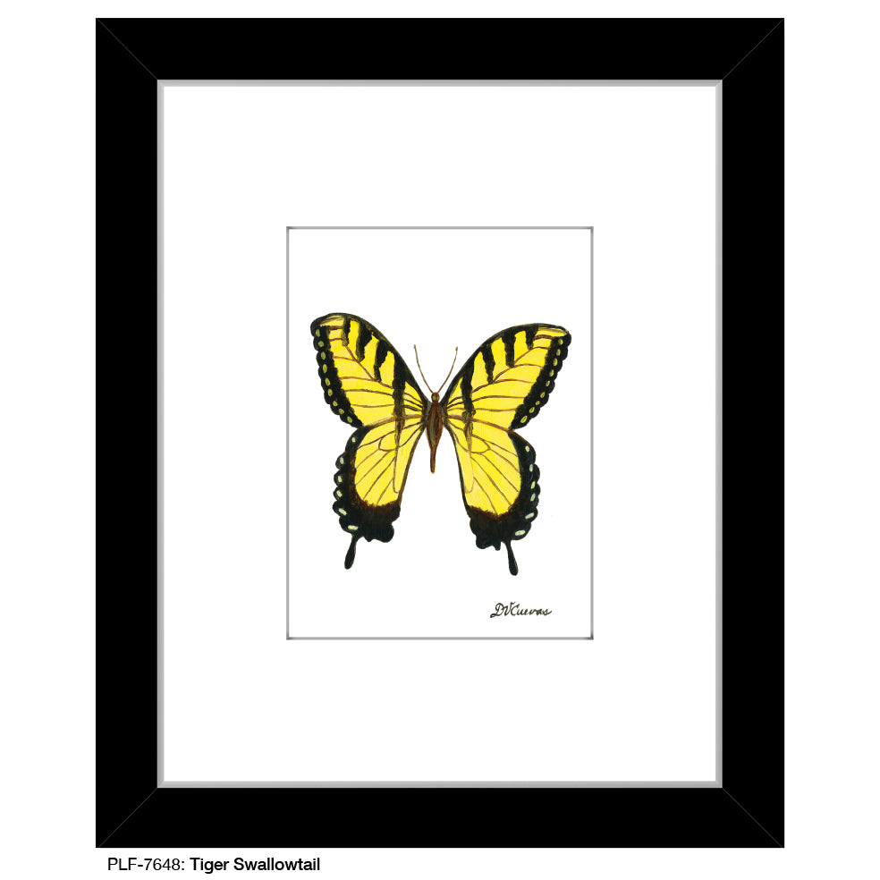 Tiger Swallowtail, Print (#7648B), Print Matted, www.printedcanvas.com