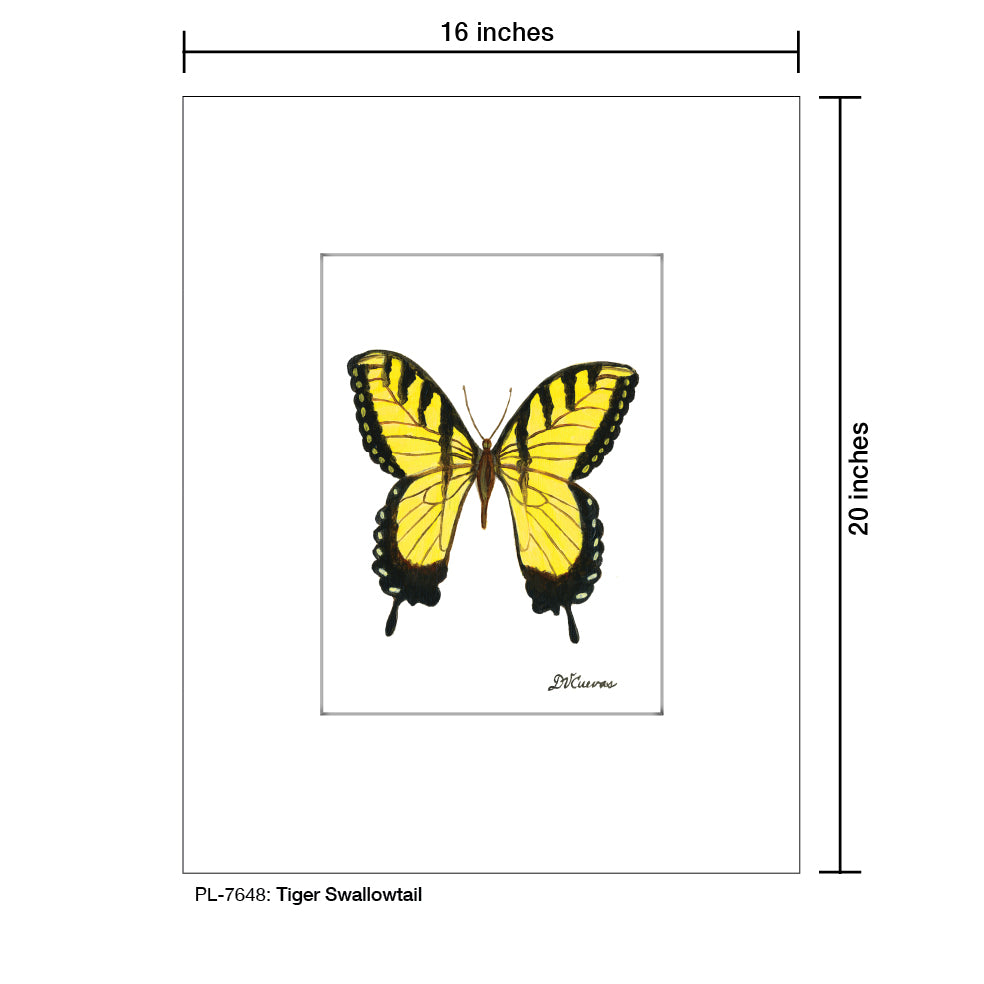 Tiger Swallowtail, Print (#7648B), Printe Matted, www.printedcanvas.com