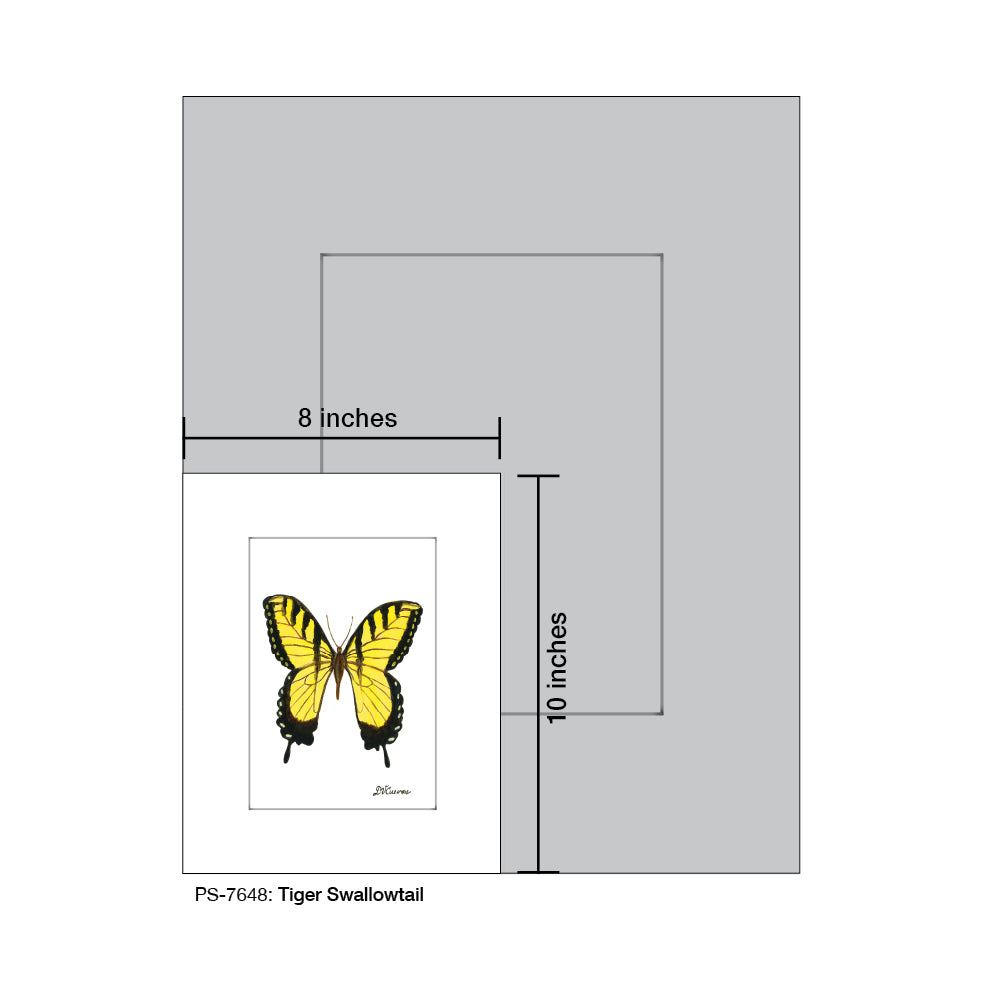 Tiger Swallowtail, Print (#7648B), Print Matted, www.printedcanvas.com