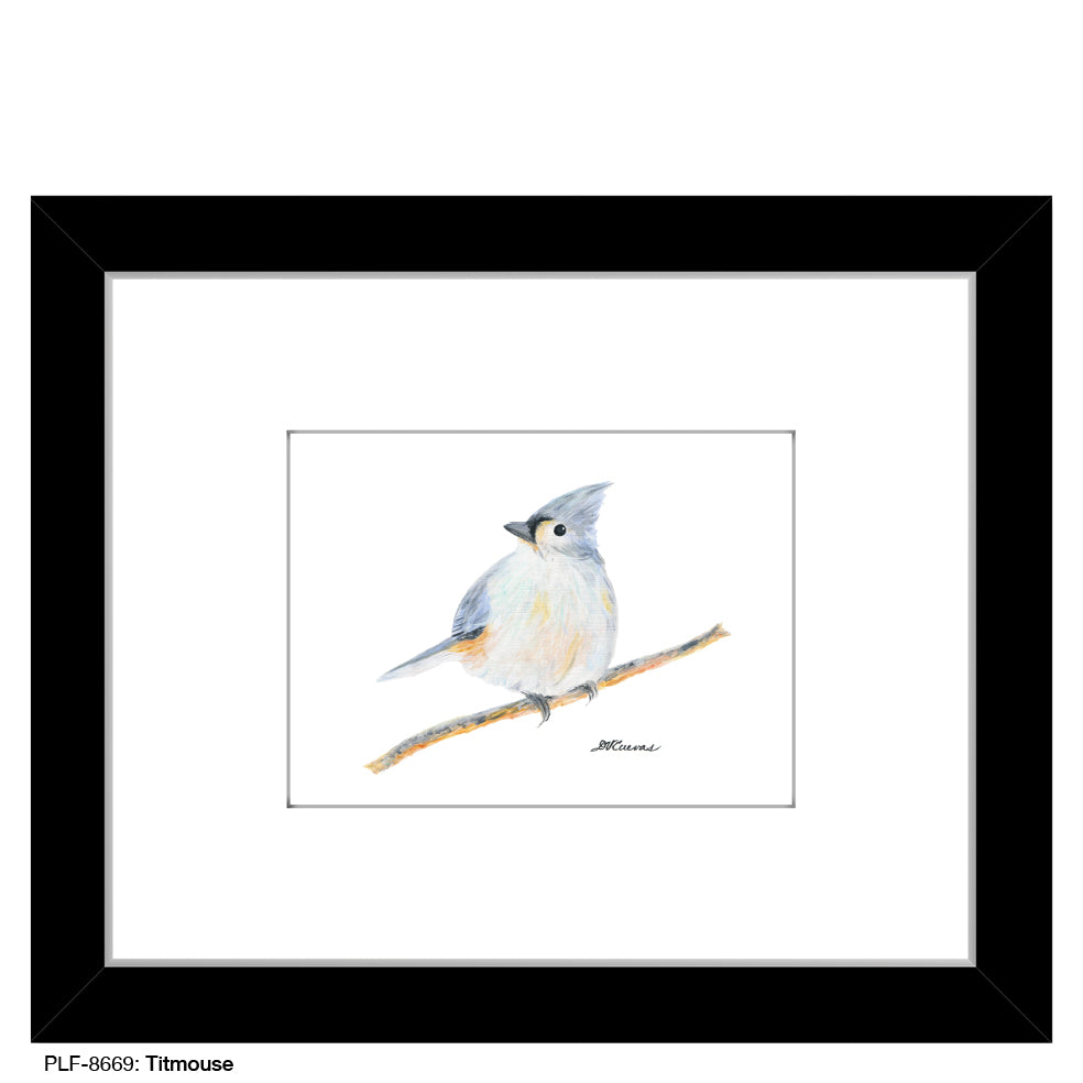 Titmouse, Print (#8669A), Print Matted, www.printedcanvas.com